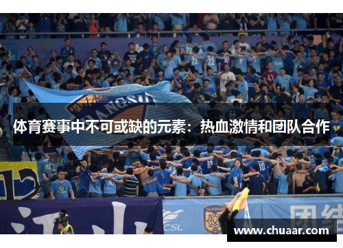 体育赛事中不可或缺的元素：热血激情和团队合作